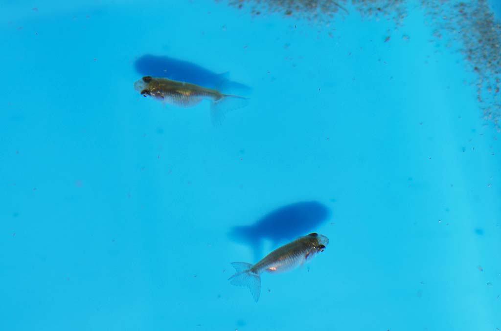 DSC_4134.jpg DSC_4134.jpg
