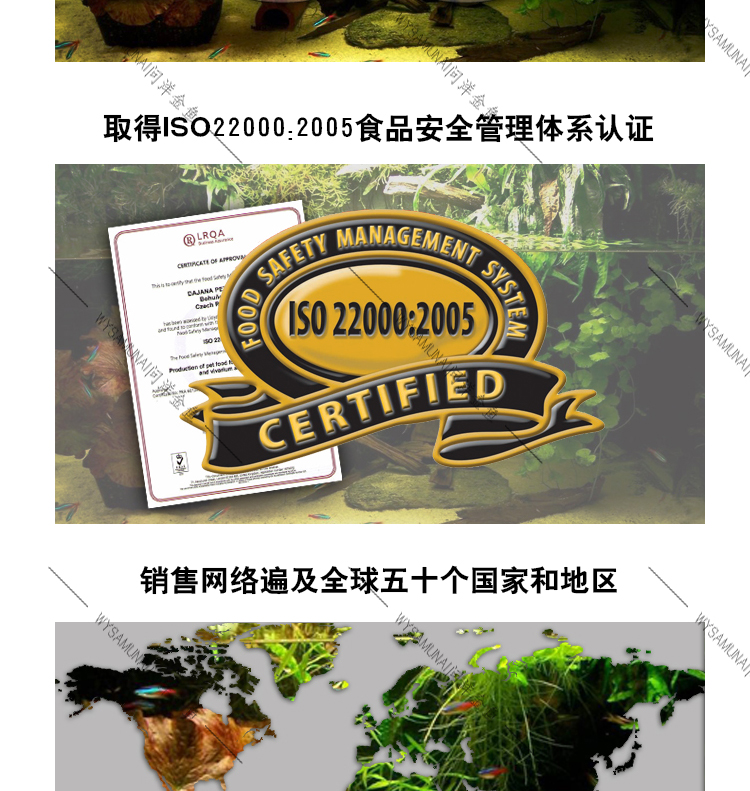 DAJANA假日详情页_03.jpg